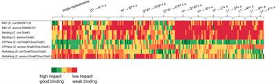 Functional Effects of ARV-1502 Analogs Against Bacterial Hsp70 and Implications for Antimicrobial Activity